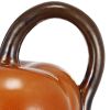 Ceramic Tomato Pitcher with Leaf Shaped Spout, Orange and Brown