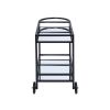 33 Inch Wood Serving Bar Cart with Mirrored Shelf, 2 Wheels, Handle, Black